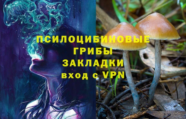 амфетамин Алексин