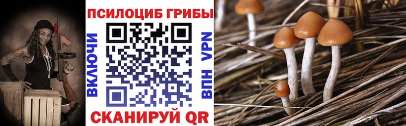kraken ТОР  Карасук  Псилоцибиновые грибы MAGIC MUSHROOMS 