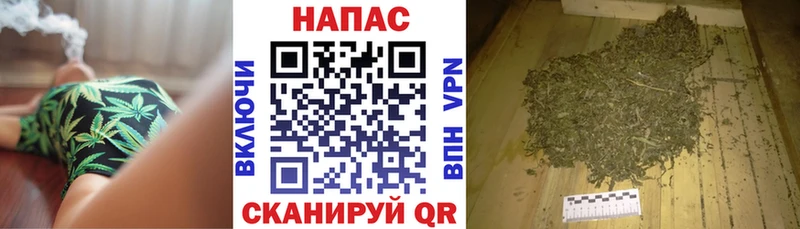 Каннабис план  блэк спрут маркетплейс  Карасук  где можно купить  